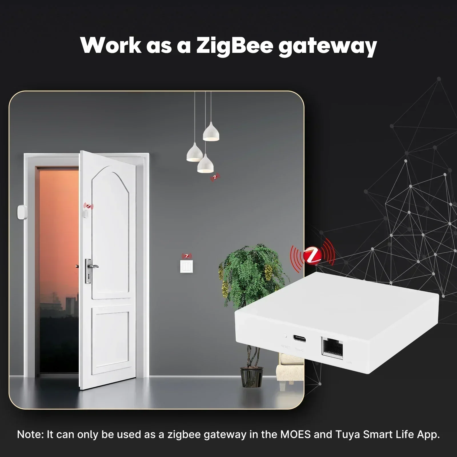 MOES Tuya Zigbee Matter Thread - مراجعة Diy Home Electronics وسعره