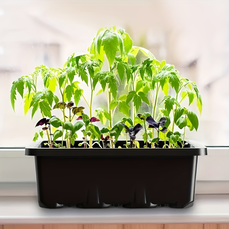 Seedling Starter Kit 1/2/3 Set - مراجعة Led Assortment Kit وسعره