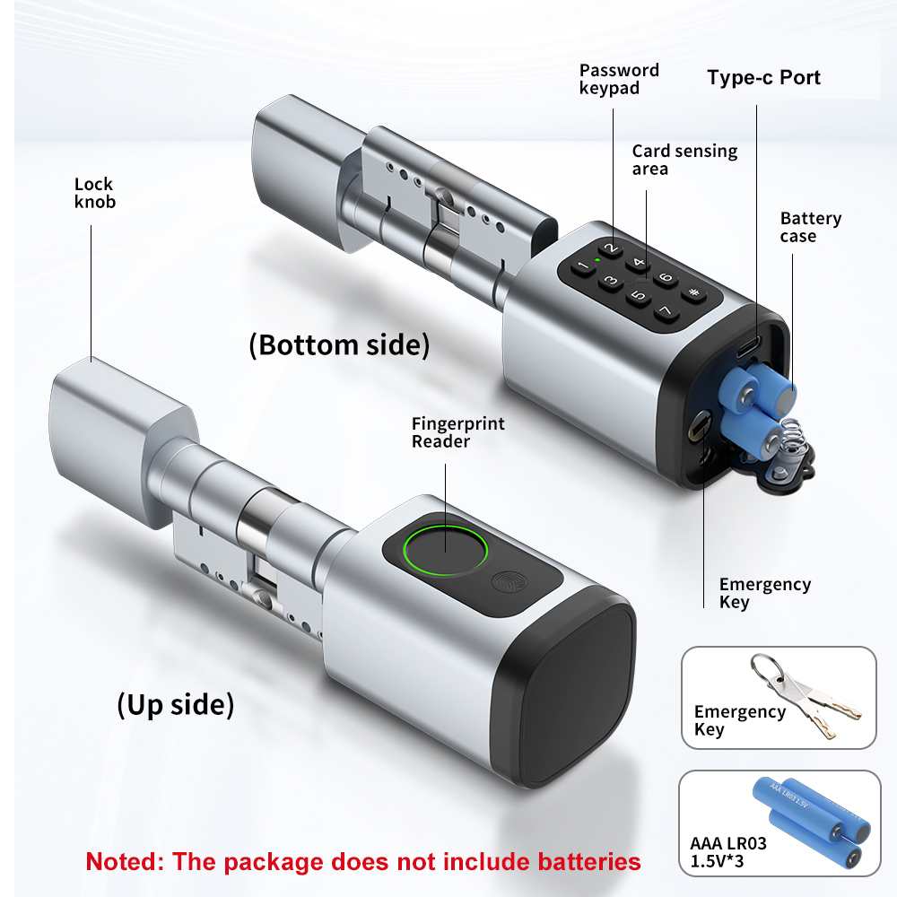 RAYKUBE V1 Tuya BLE TT Lock Sm - مراجعة Diy Home Electronics وسعره